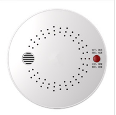 ����ȼ��й©������